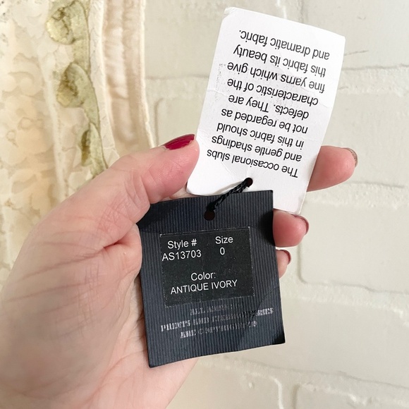 NWT Anna Sui Anthropologie Lonoke Crochet Ivory Cream Lace Sheath Dress Size 0 - Picture 7 of 16